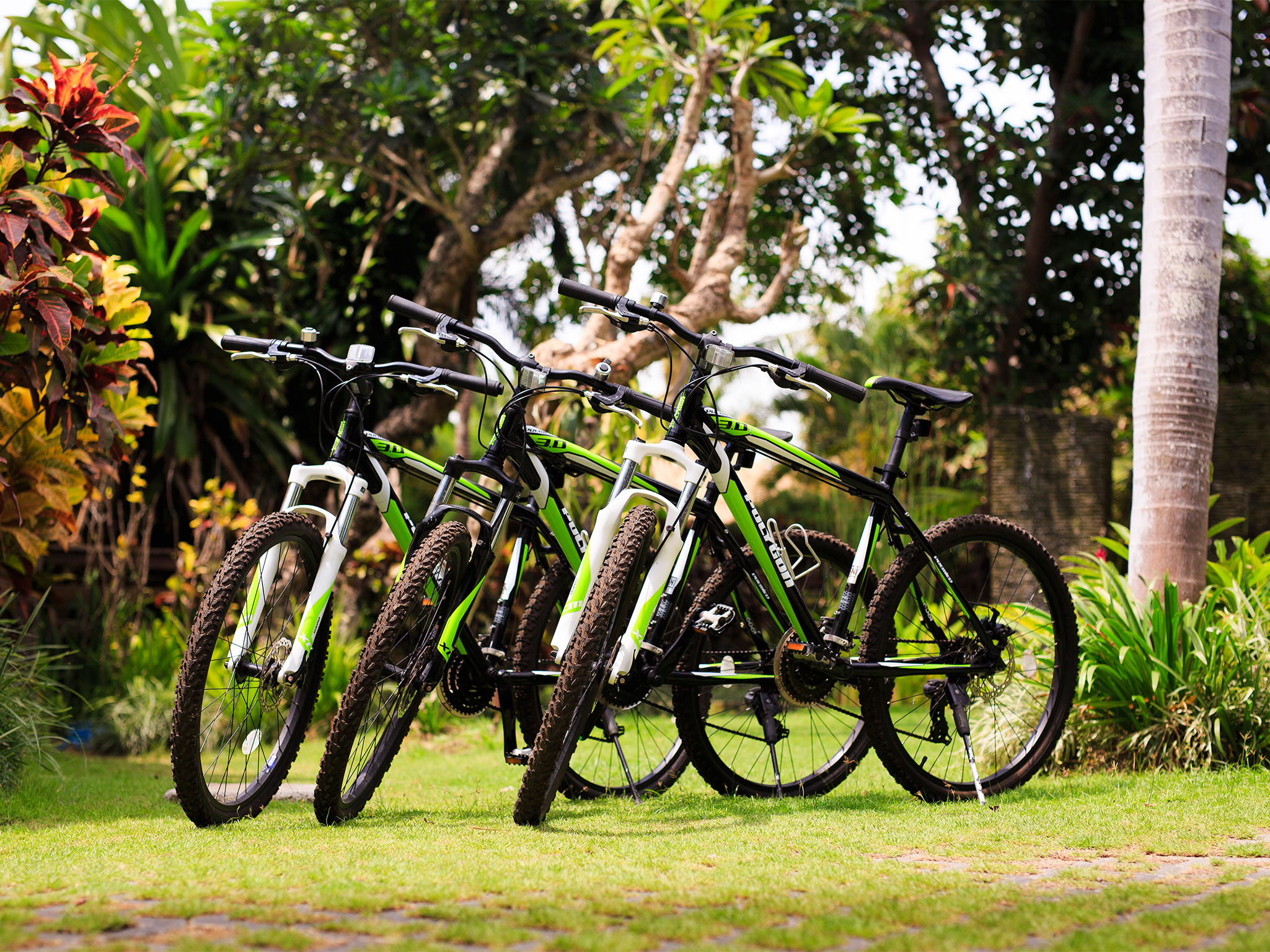 Villa Maridadi - Bike ride - Villa Maridadi, Seseh-Tanah Lot, Bali
